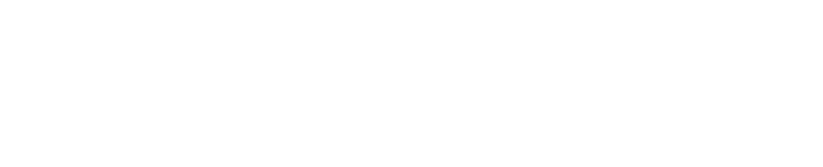 Leone Ventures