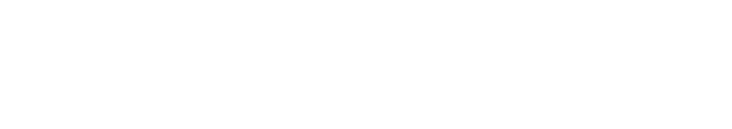 Sviluppo frontend Leone Ventures Roma